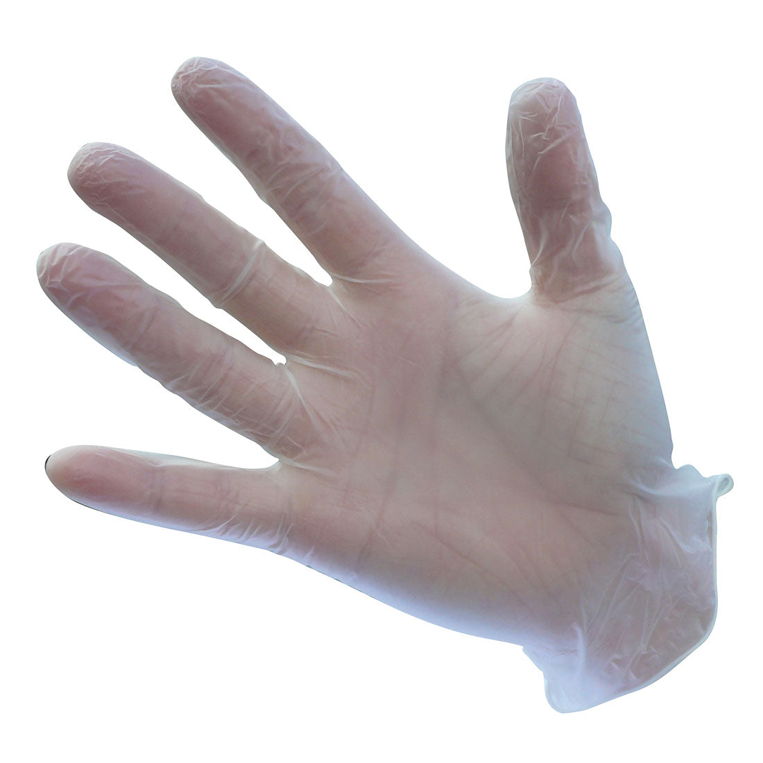 Powder Free Vinyl Disposable Gloves 100 Per Pack Blue/Clear - A900